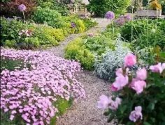 ��԰ֲ���ѡ��