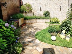 ͥԺ�̻���ֲ�������